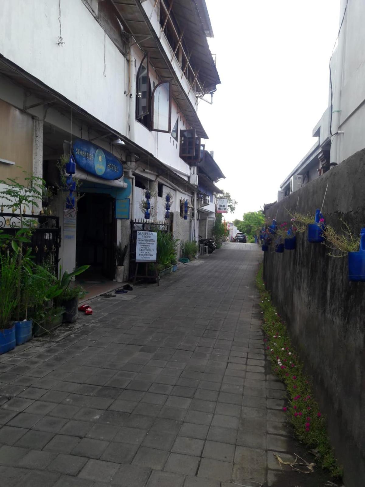 Seabreeze Hostel Bali Canggu  Exterior photo